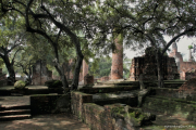 Ayutthaya