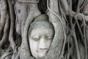 Ayutthaya