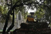 Ayutthaya