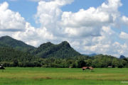 Lampang