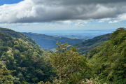 Monteverde