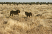 Namibia